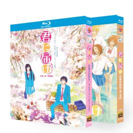 kiminitodoke-blu-ray_1.jpg