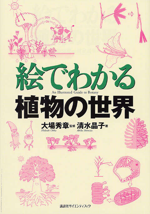 テイツ／ザイガー 植物生理学・発生学 原著第6版』（リンカーン