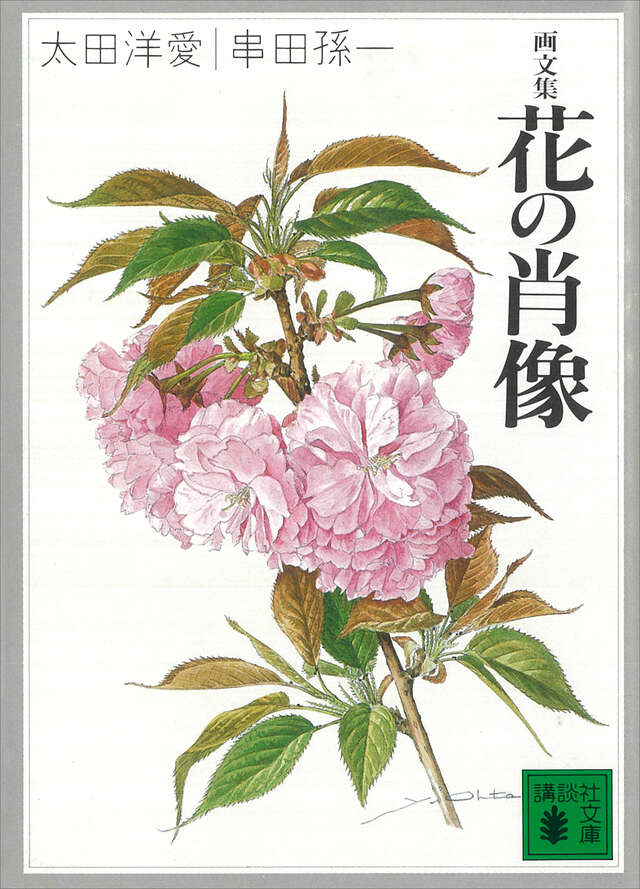 画文集 花の肖像』（太田 洋愛,串田 孫一,菊地 信義,太田 洋愛）｜講談社