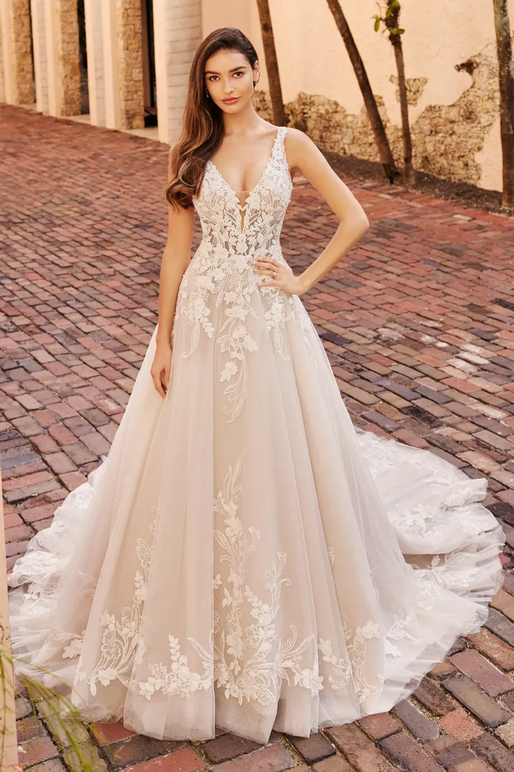 Tillie: V-Neck Floral A-Line Wedding Dress with Semi-Sheer Bodice