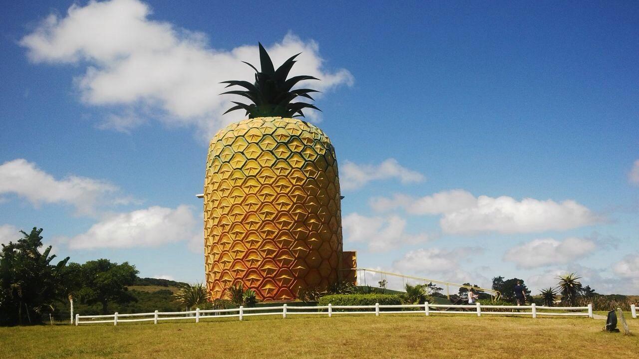 2026年 The Big Pineapple - 出発前に知っておくべきことすべて