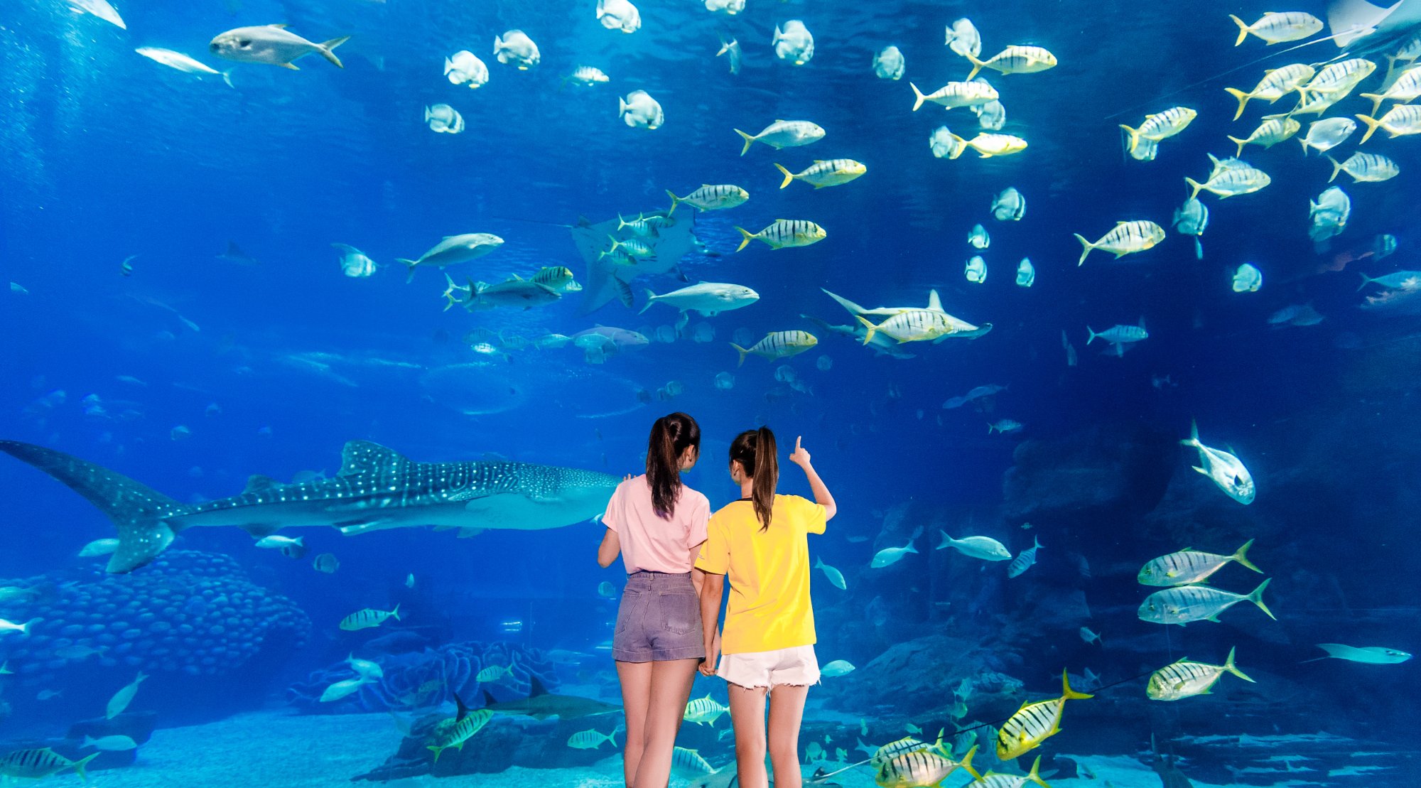 2026年 珠海長隆海洋王国 - 出発前に知っておくべきことすべて