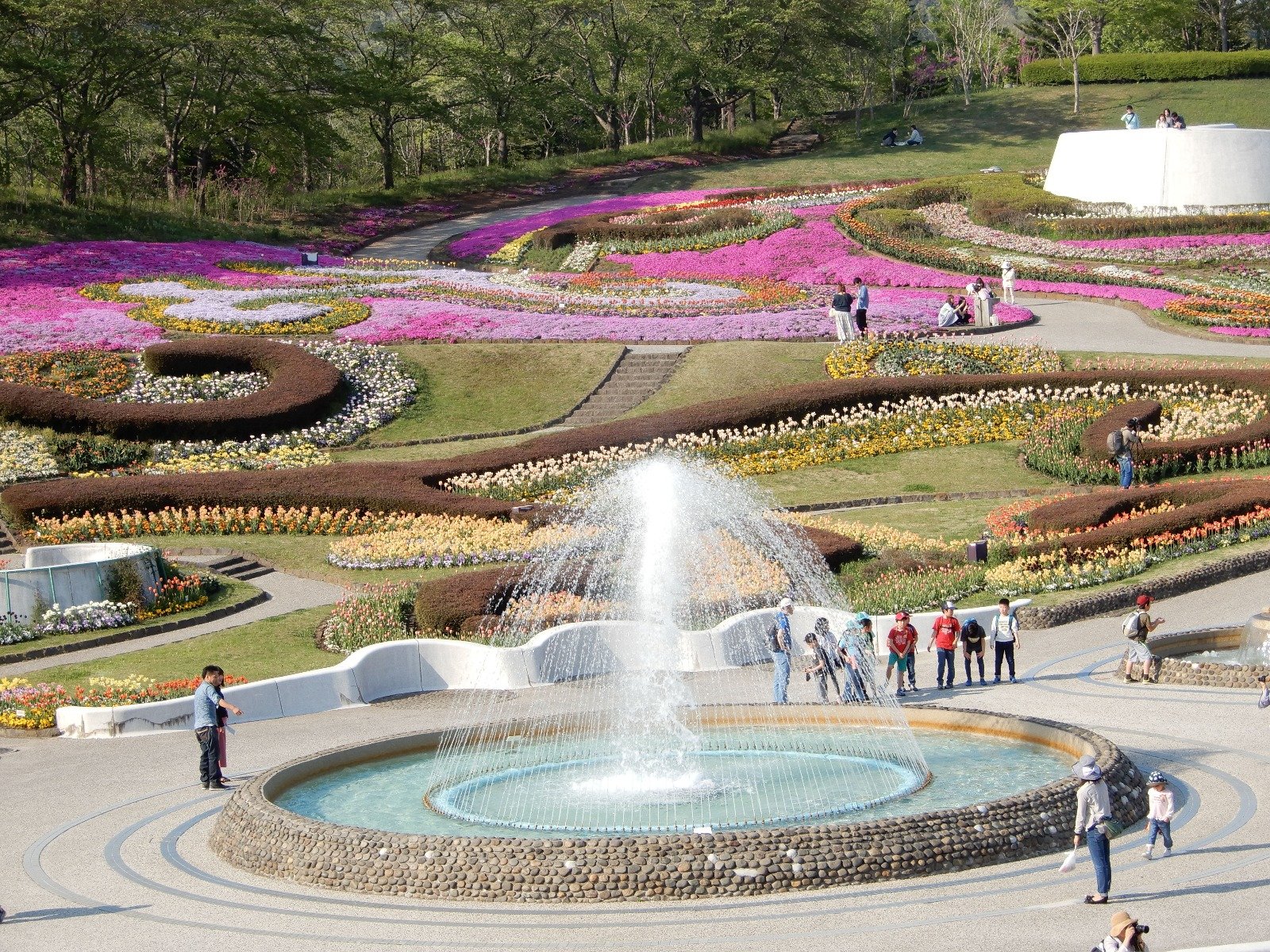 2026年 国営みちのく杜の湖畔公園 - 出発前に知っておくべきことすべて