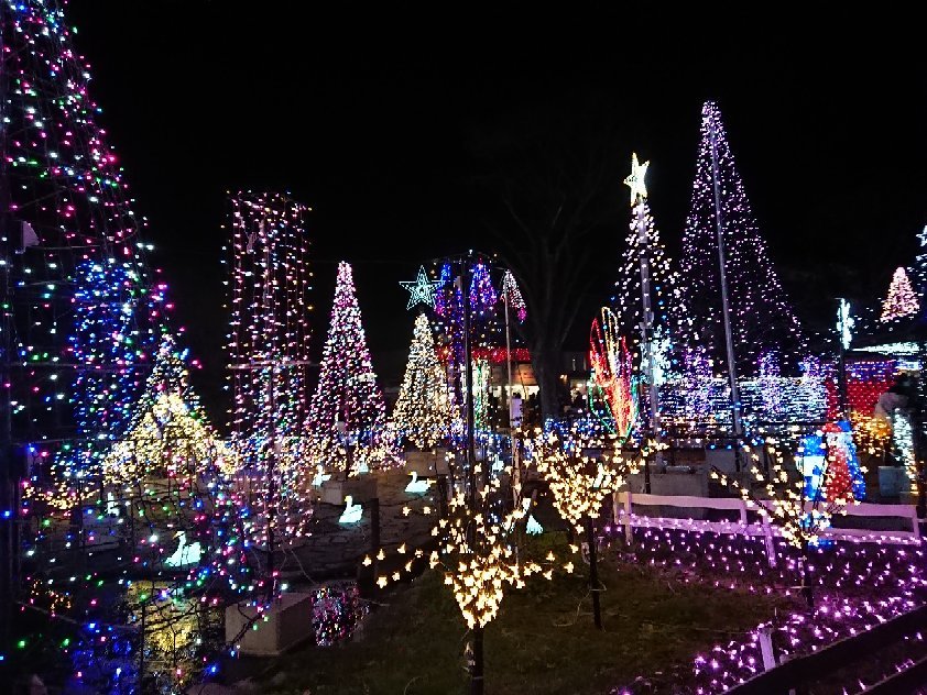 Miyagase Christmas Illumination (2026) - All You MUST Know Before