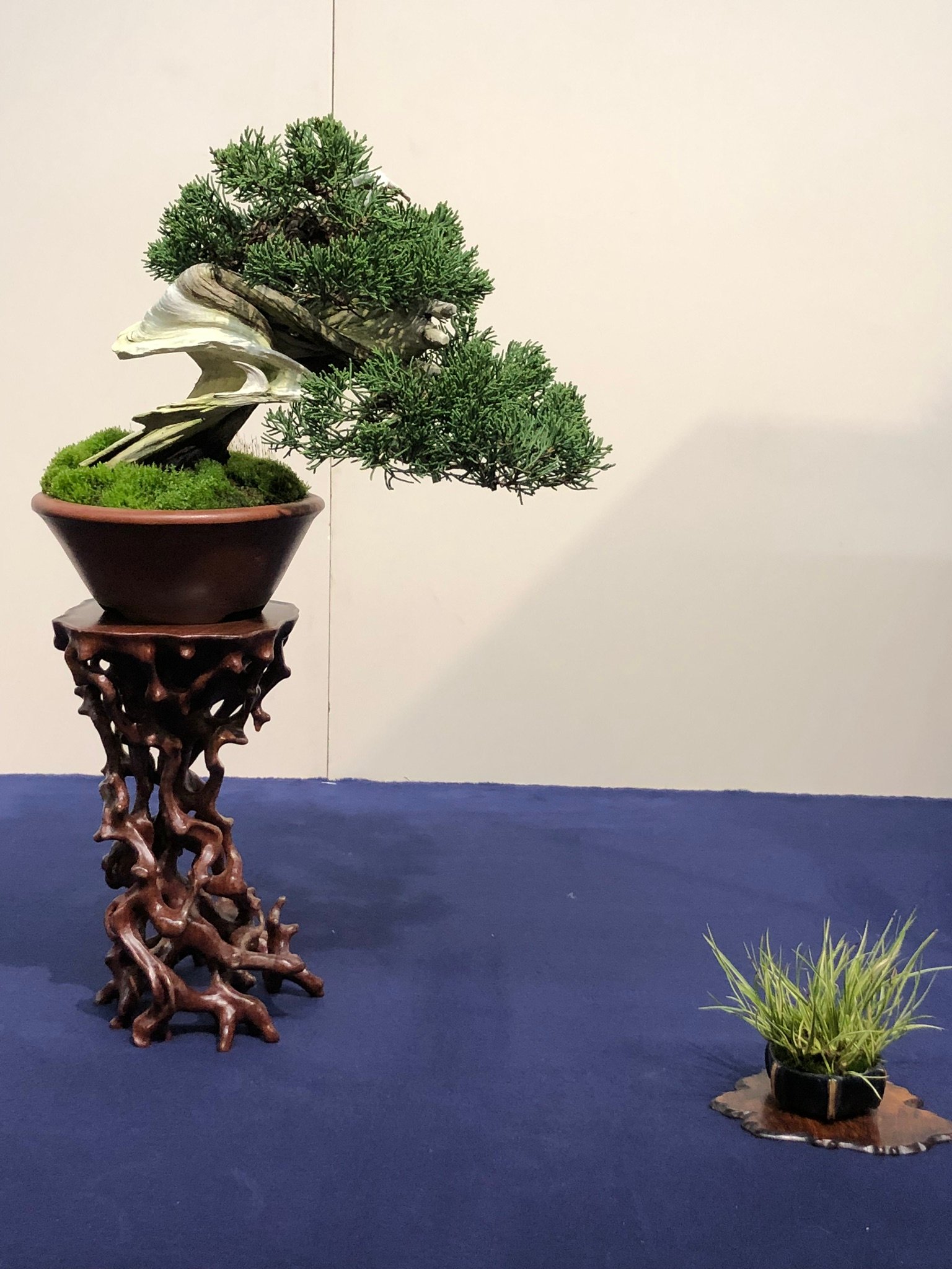 caption.jpg?w=1200&h=1200&s=1