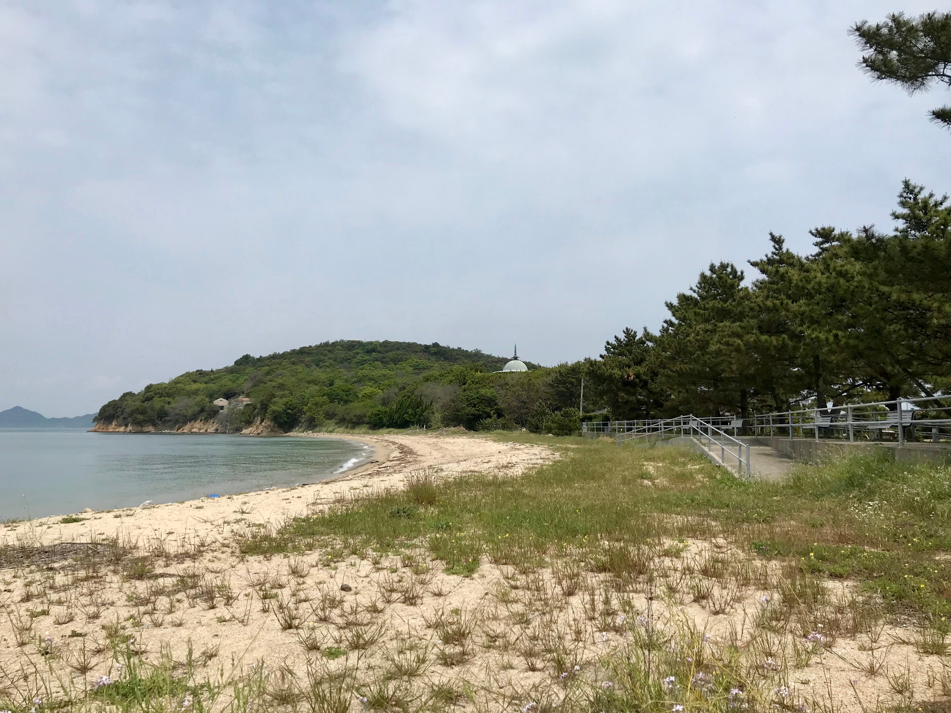 2026年 大島 - 出発前に知っておくべきことすべて