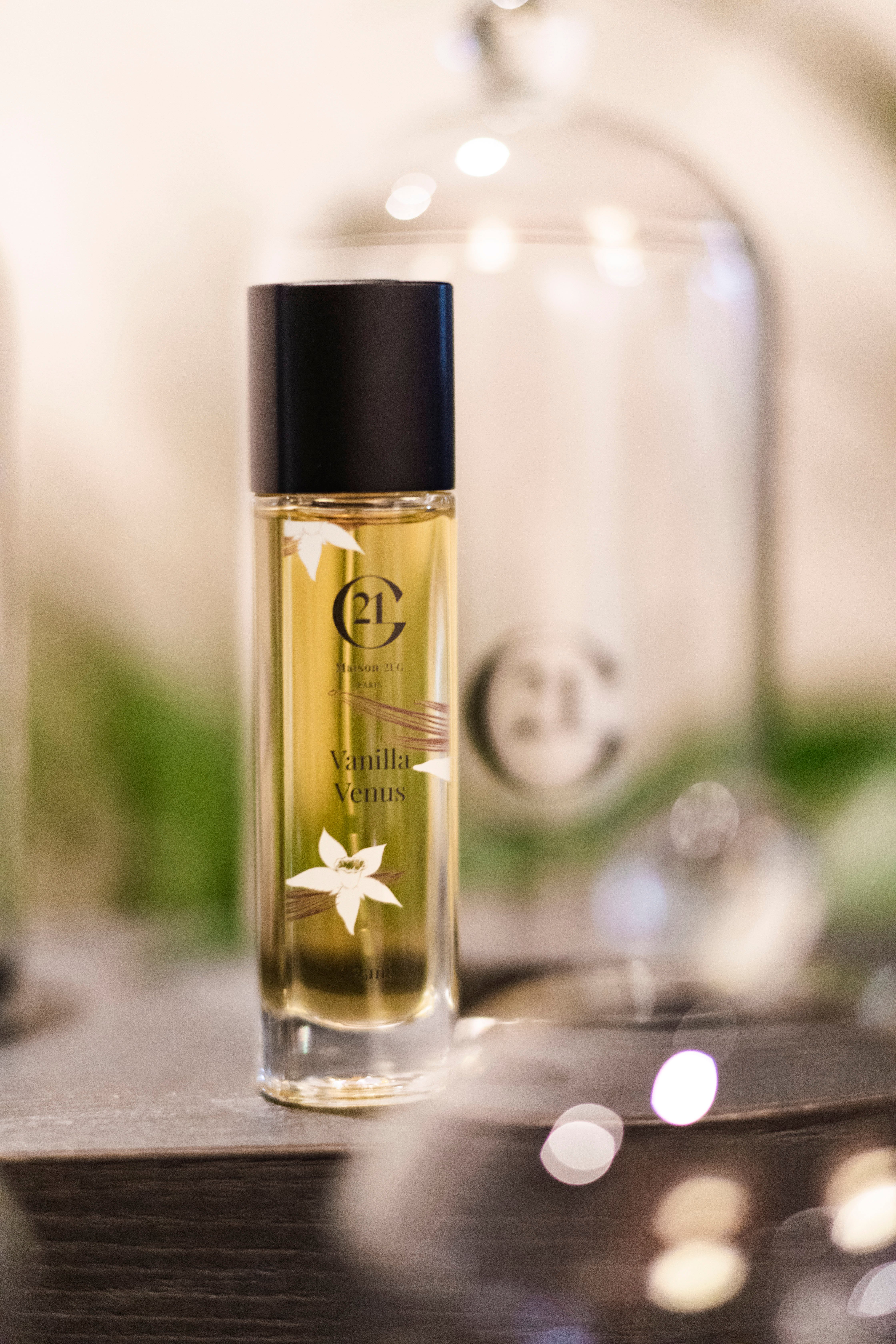 2026年 Maison 21G - 出発前に知っておくべきことすべて