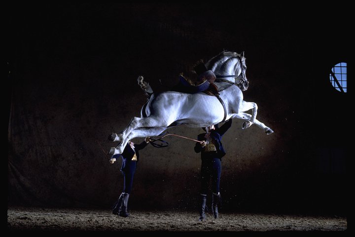 2026 Andalusian Horses Dance Show (with Reviews)