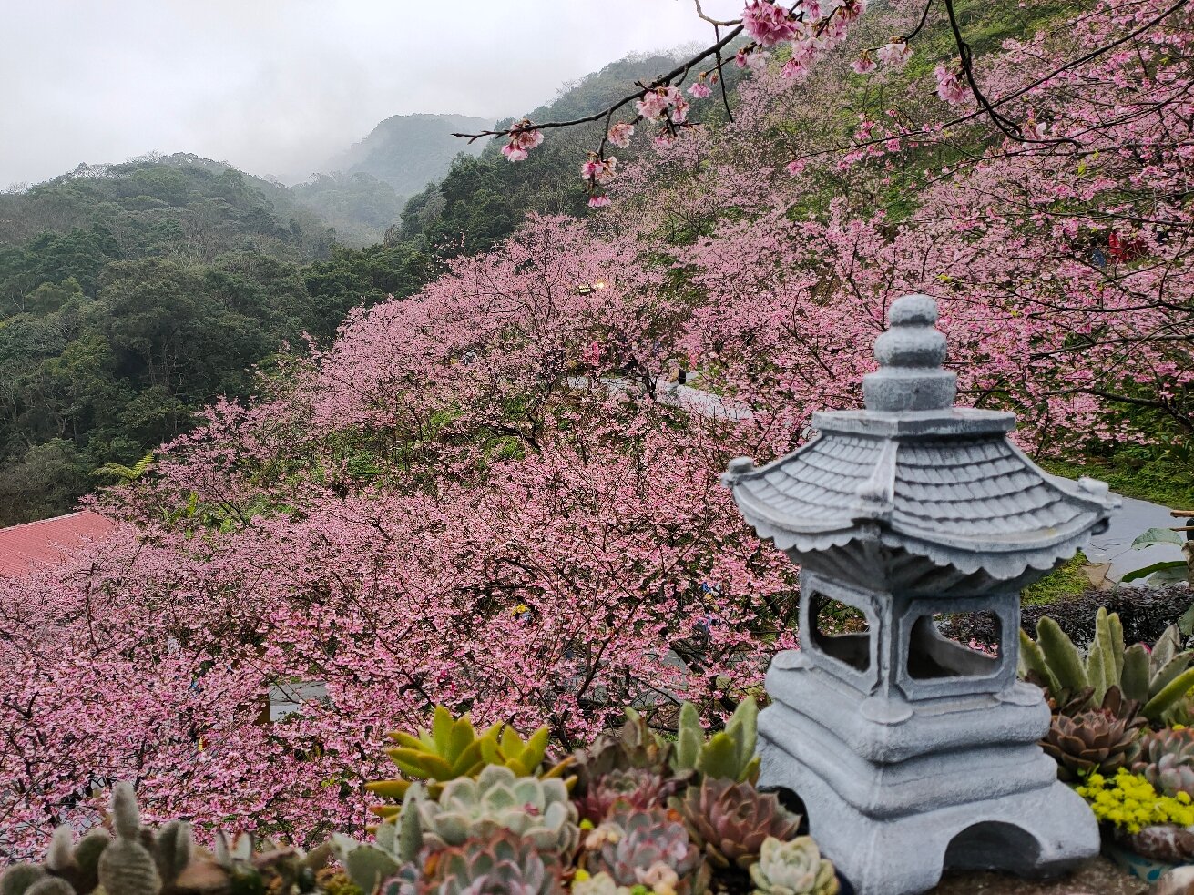 caption.jpg?w=1200&h=-1&s=1