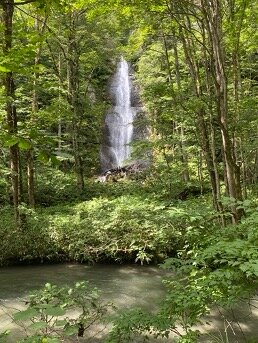 2026年 白糸の滝 - 出発前に知っておくべきことすべて