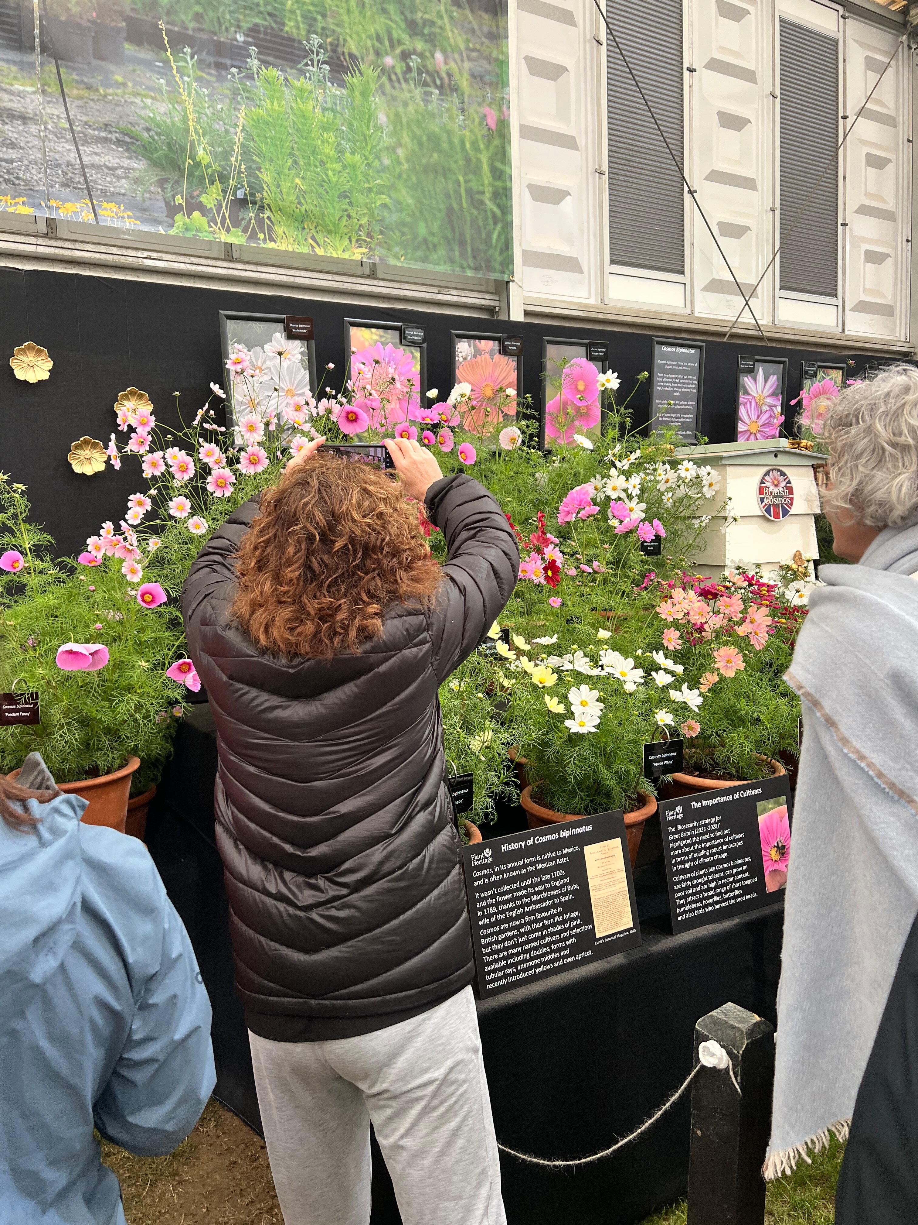 2026年 RHSチェルシー フラワー ショー - 出発前に知っておくべきこと