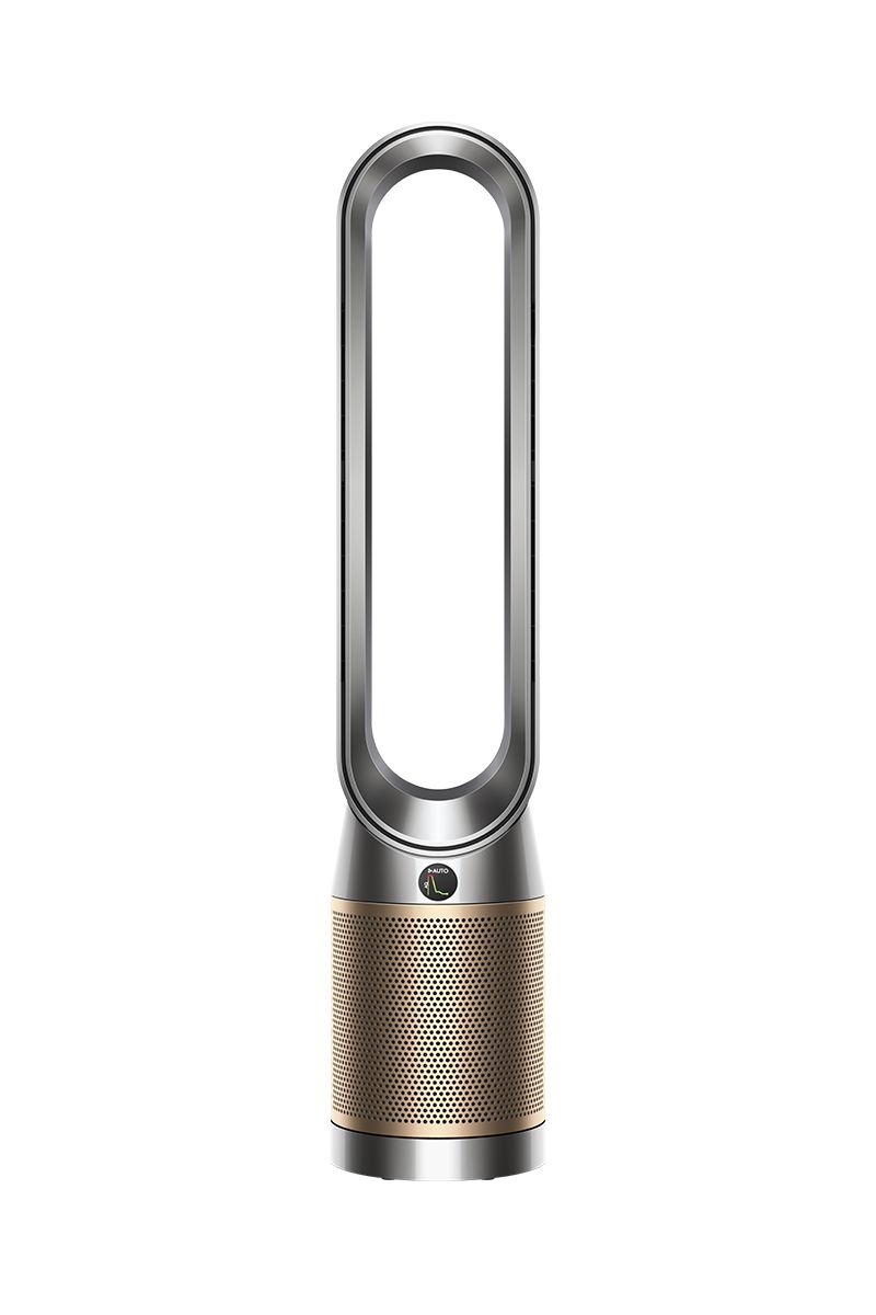 Purifier Cool PC2 De-NOx (Nickel/Gold) | Dyson