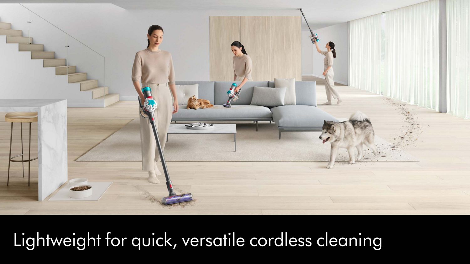 Dyson V8 Absolute (Silver/Nickel)