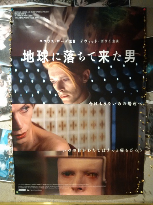映画「地球に落ちて来た男」B2ポスター デビッド・ボウイDavid Bowie
