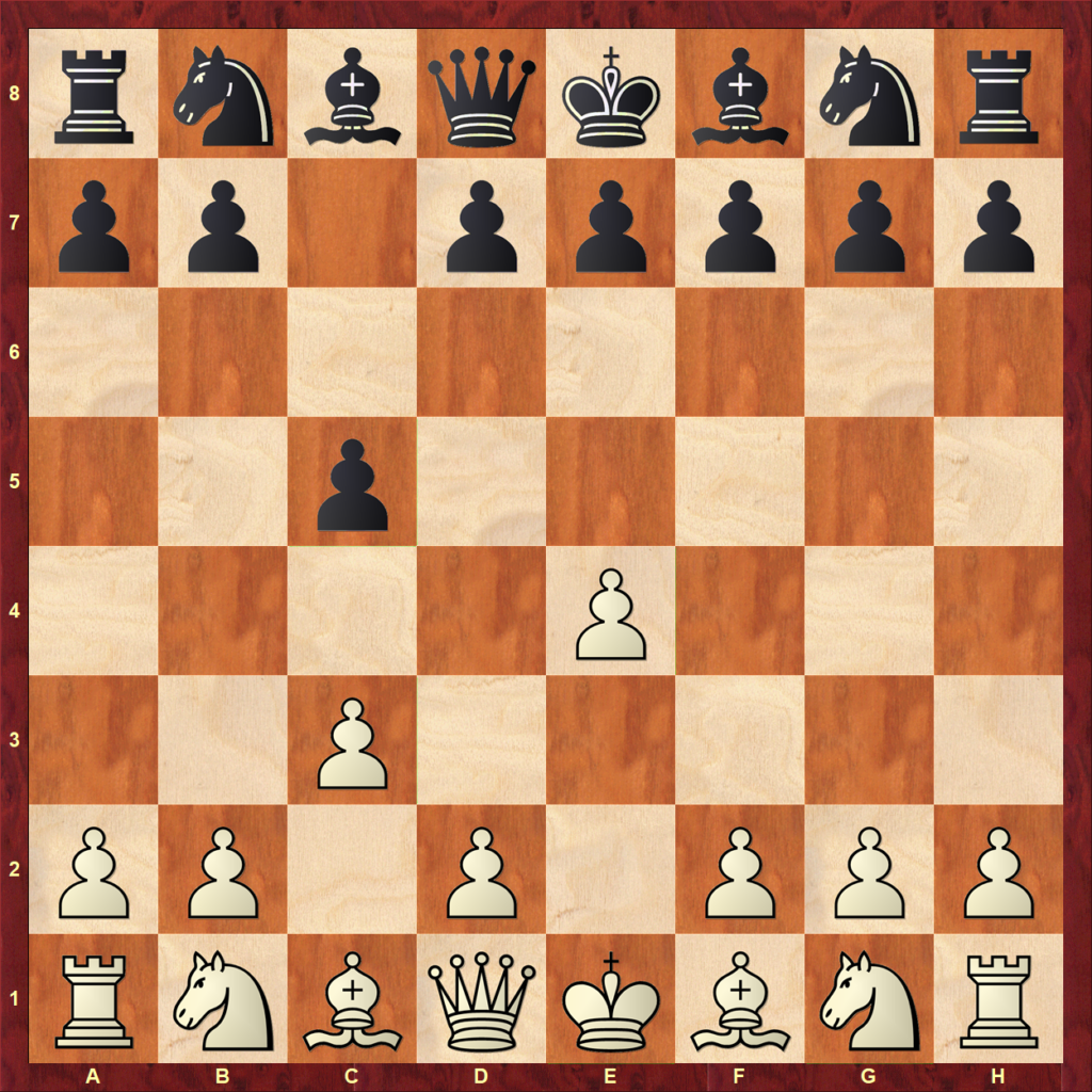 シシリアン ディフェンス ーOpening impressionsー | チェス夫婦 E&Aの