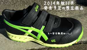 アシックス安全靴 2014年秋11月販売予定の限定生産カラー FIS52S