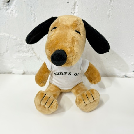 海外購入品 日焼けスヌーピーサフィン 18 | 4月 | 2025 | ハッピー