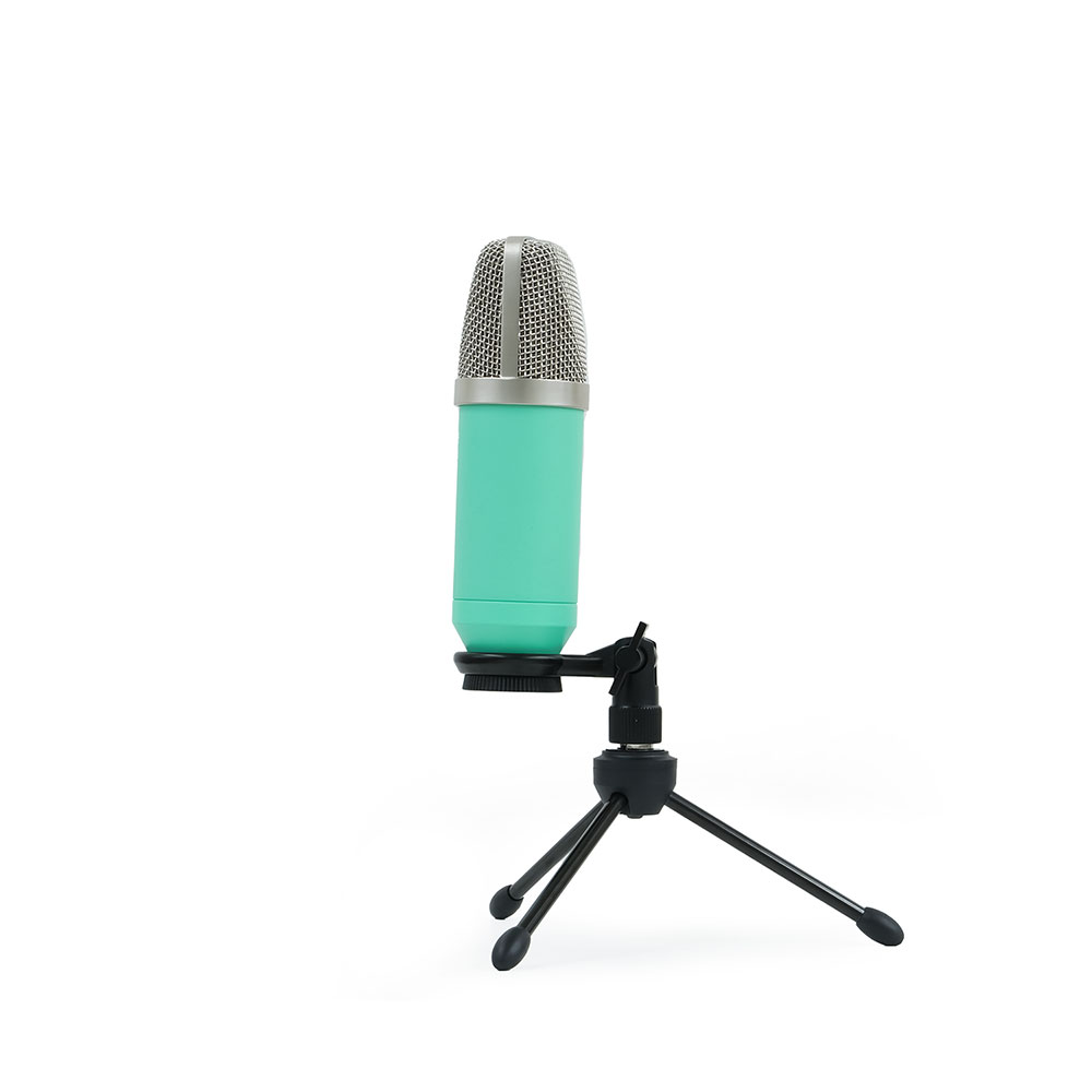 Peimo エレクトレットコンデンサーマイクロフォン 2本セットビンテージ