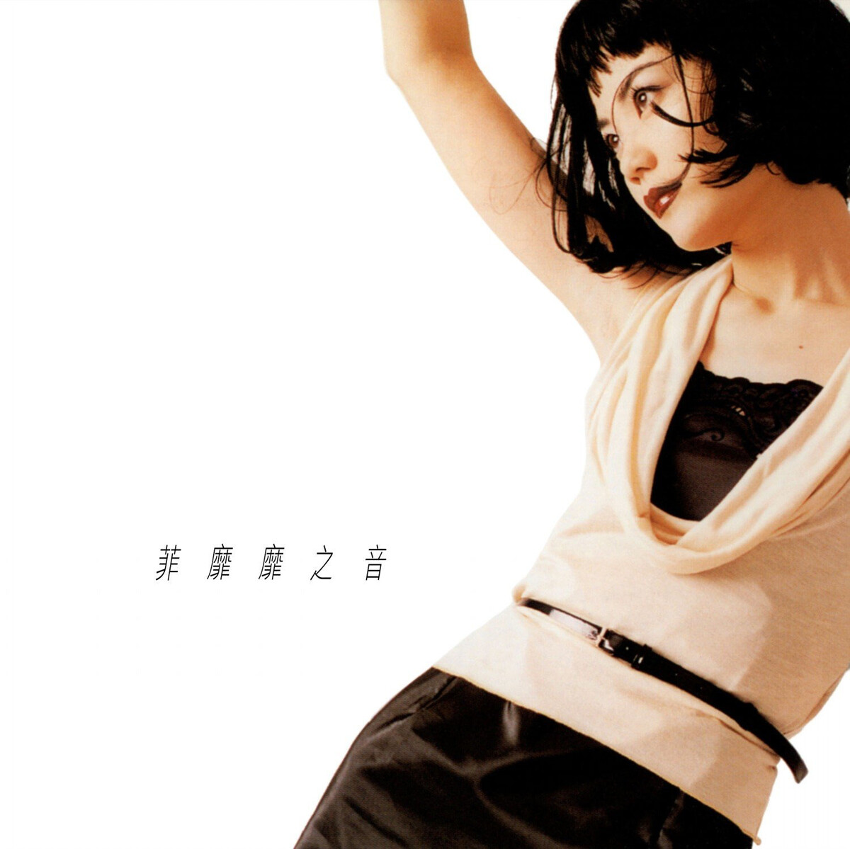 菲靡靡之音 by 王菲 [Faye Wong] (Album, Adult Contemporary