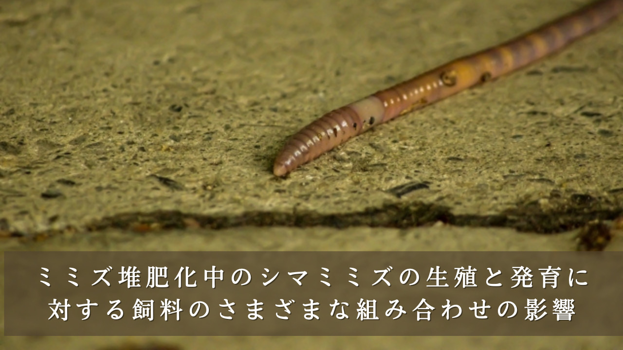 ミミズ堆肥化中のシマミミズの生殖と発育に対する飼料材料のさまざまな