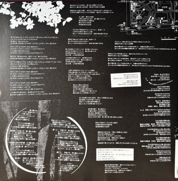 Buy 小沢健二* : 日比谷野音の小沢健二 オフィシャル海賊盤 (LP, Album