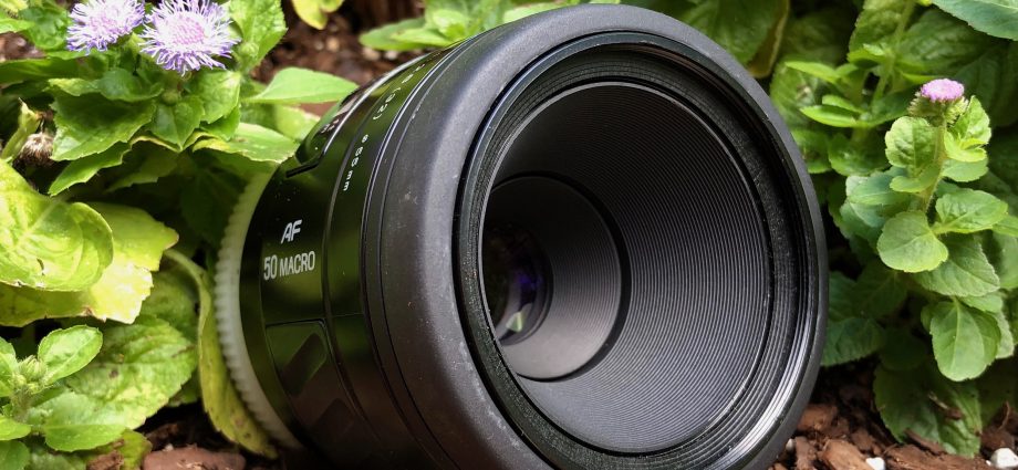 VMLP 10: Minolta 50mm f2.8 Macro (AF) —The Everyday Macro – Earth