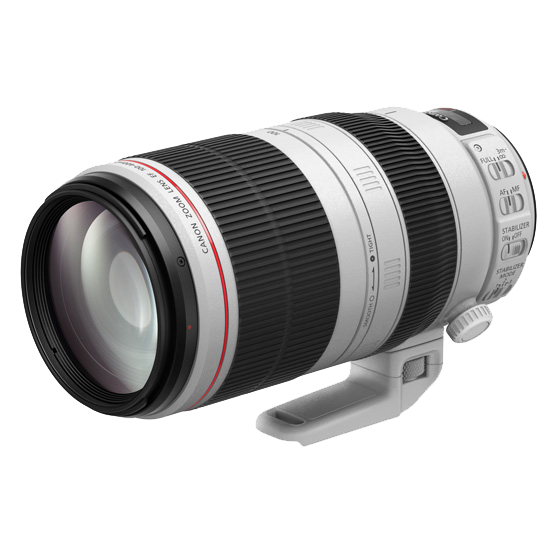 Canon EF100-400mm F4.5-5.6L IS II USM｜撮影機材レンタルからEDIT