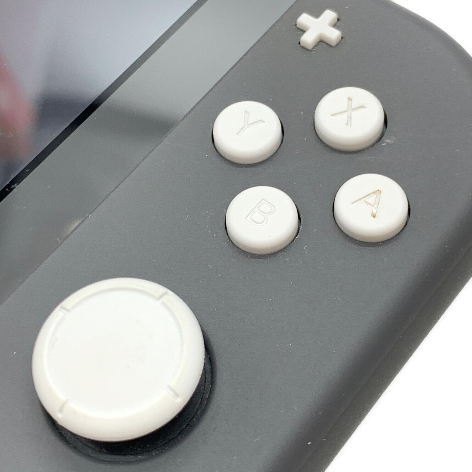 Nintendo (ニンテンドウ) Nintendo Switch Lite HDH-001 動作確認済み