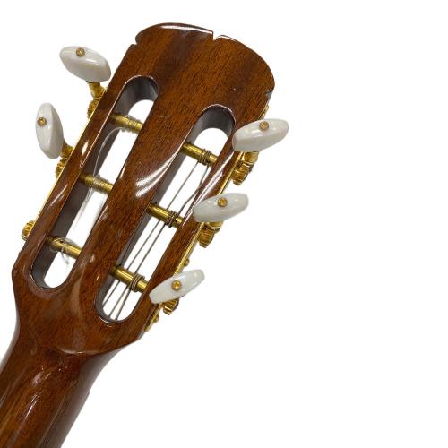 ARIA (アリア) エレアコギター SANDPIPER DELUXE｜トレファクONLINE