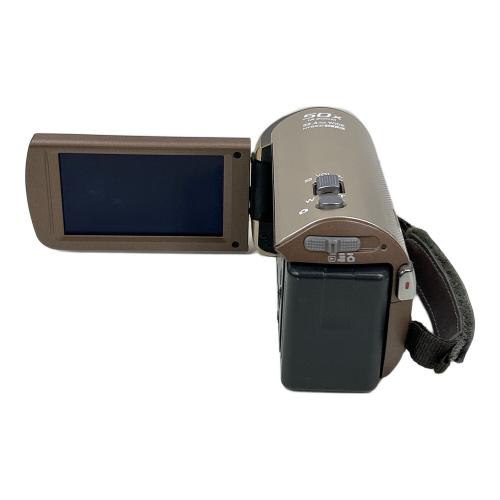 Panasonic (パナソニック) デジタルハイビジョンビデオカメラ HC-V300M