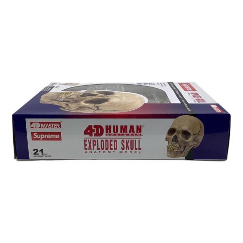 Supreme(シュプリーム) 4D Model Human Skull（4D モデル ヒューマン