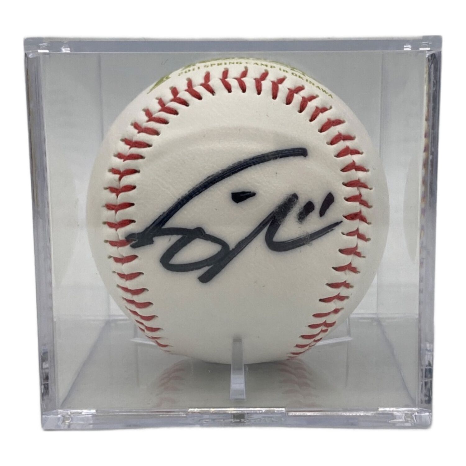 北海道日本ハムファイターズ (ホッカイドウニッポンハムファイターズ