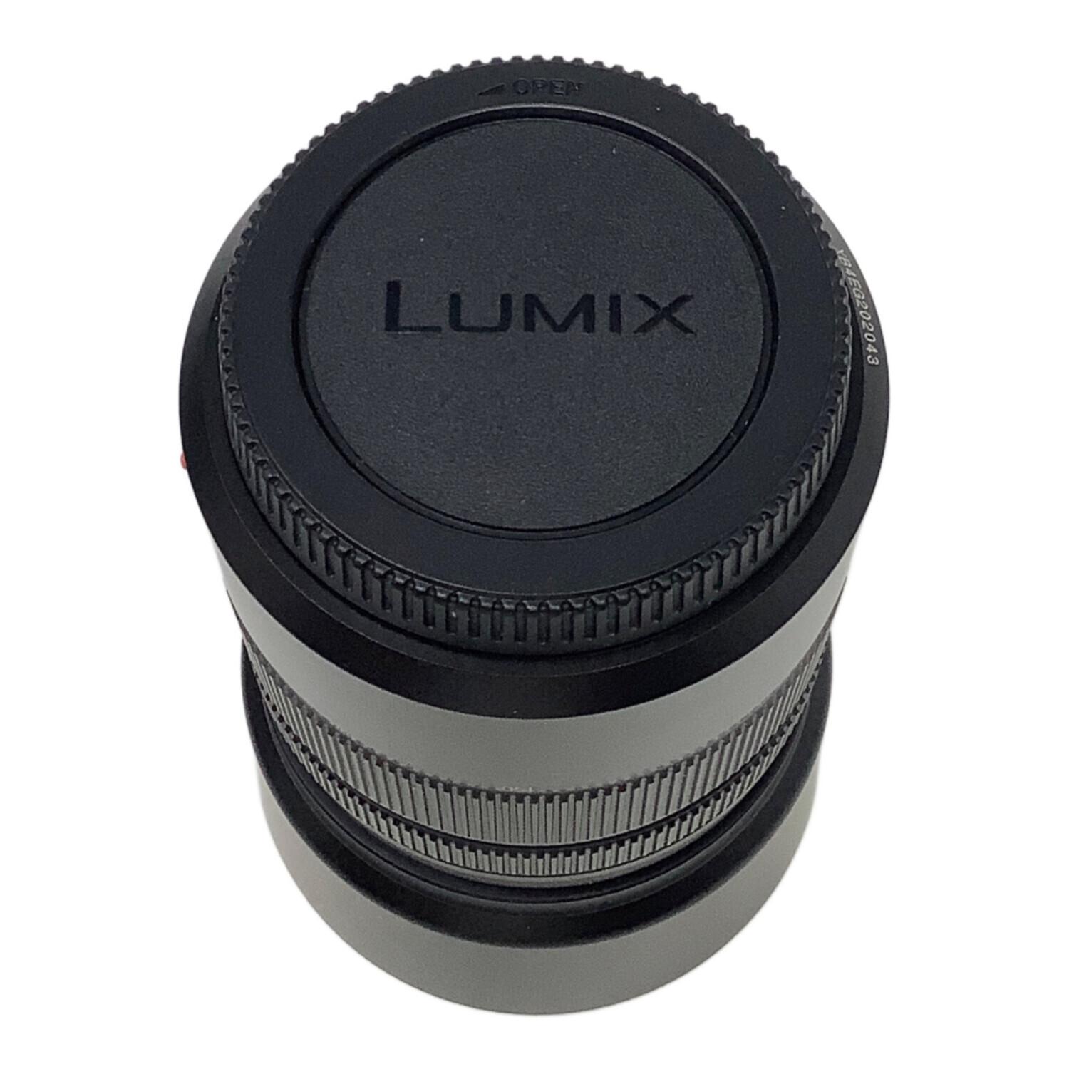 Panasonic (パナソニック) LUMIX G100D Wキット ダブルズームレンズ