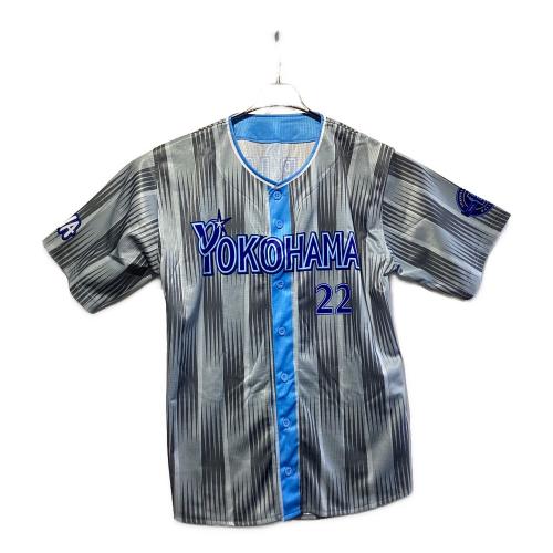 横浜DeNAベイスターズ (ヨコハマディーエヌエーベイスターズ) 2025年