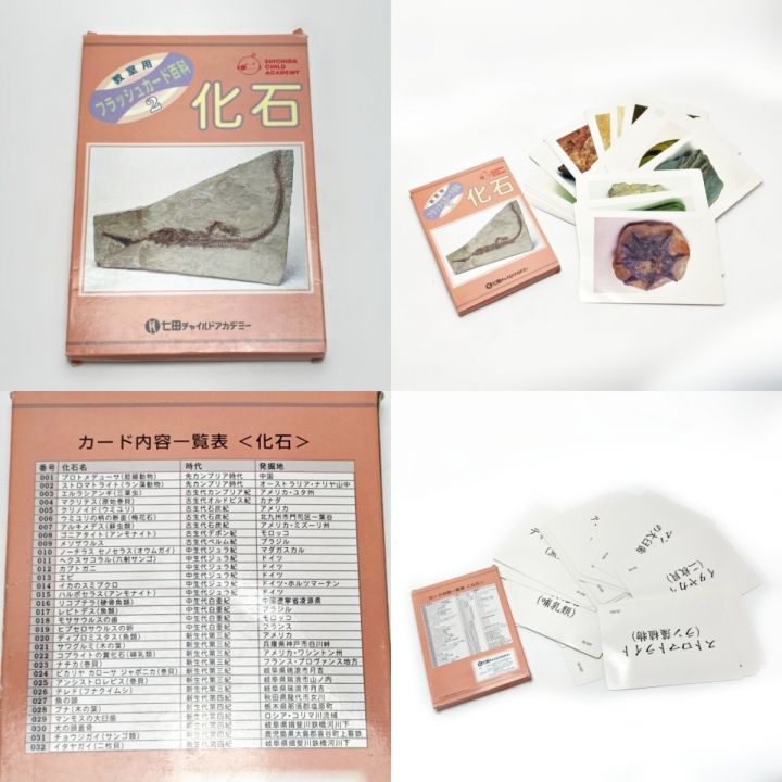 七田式教材 FLASH カードライブラリー かな絵ちゃん 前編 教室用