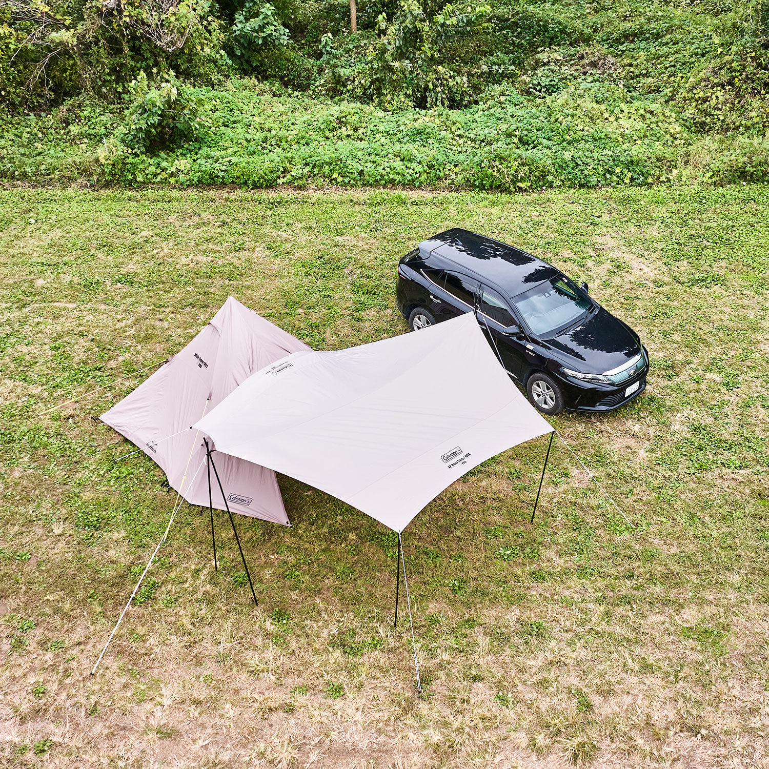 ワイドティピー/3025 (グレージュ)の通販｜キャンプ用品のコールマン