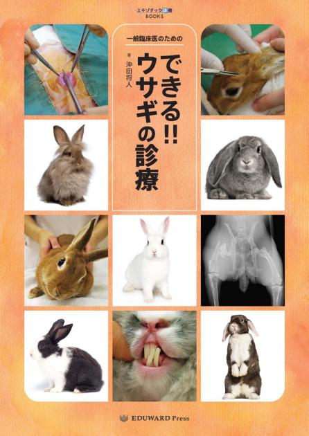 一般臨床医のための できる！！ウサギの診療｜EDUONE ONLINE STORE
