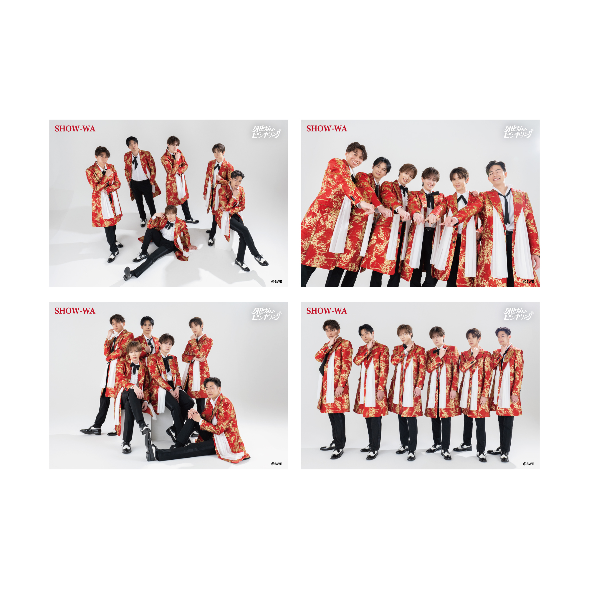 SHOW-WA/MATSURI オフィシャルオンラインストア / 【SHOW-WA】ランダム