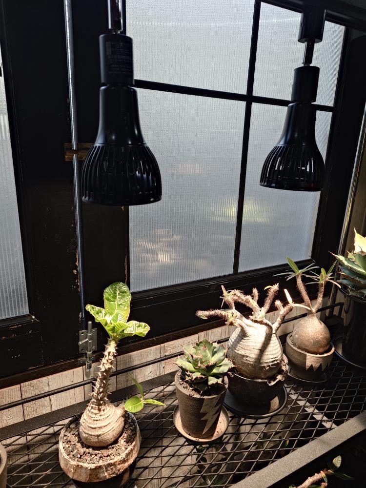 イノベックス LEDファン付き植物育成ライト | ファクトリーギア - 公式