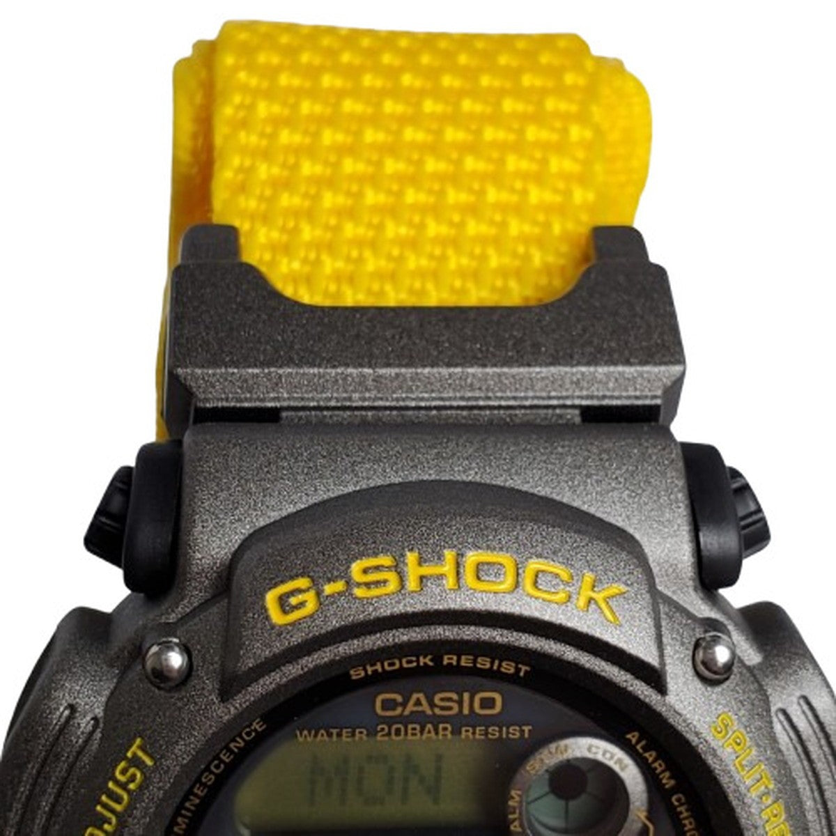 DW-8800 agnes b – G-BRIDGES