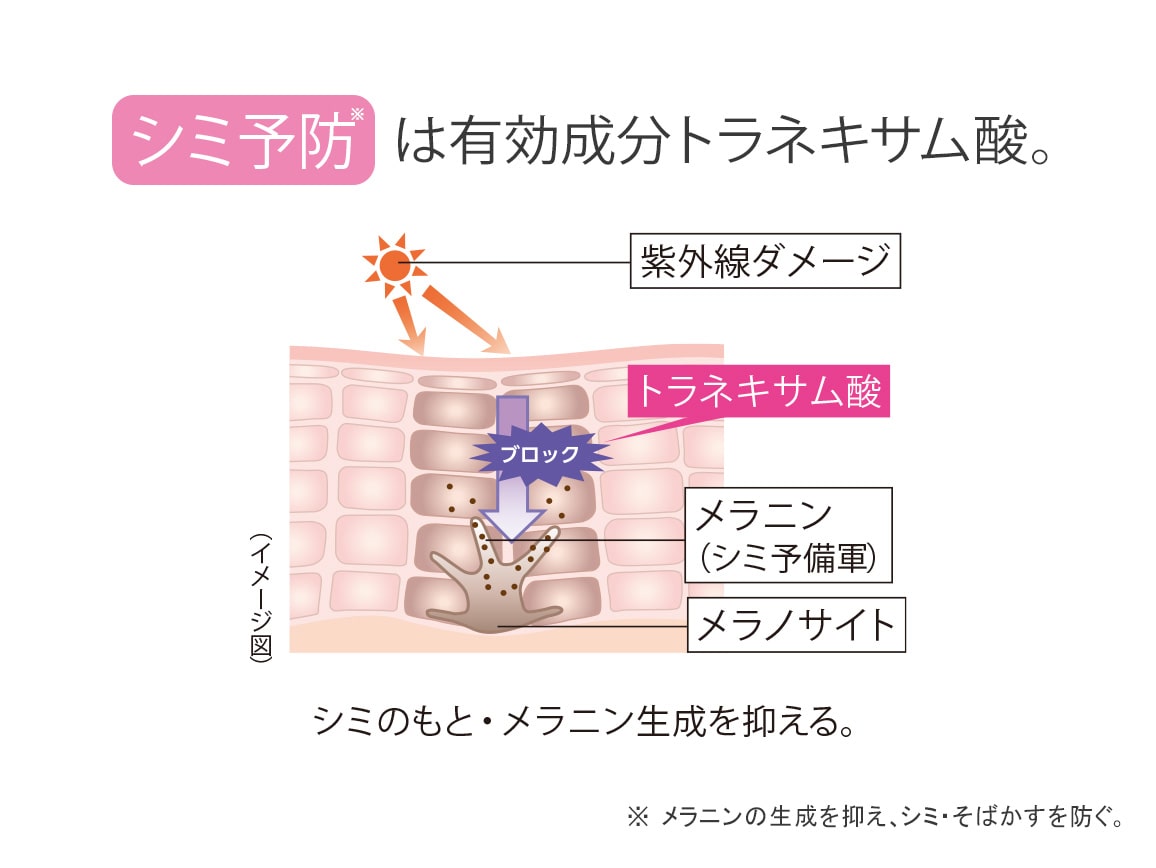 定期おトク便」ハルメク 薬用トータルエイジ美肌液＜朝用＞と＜夜用