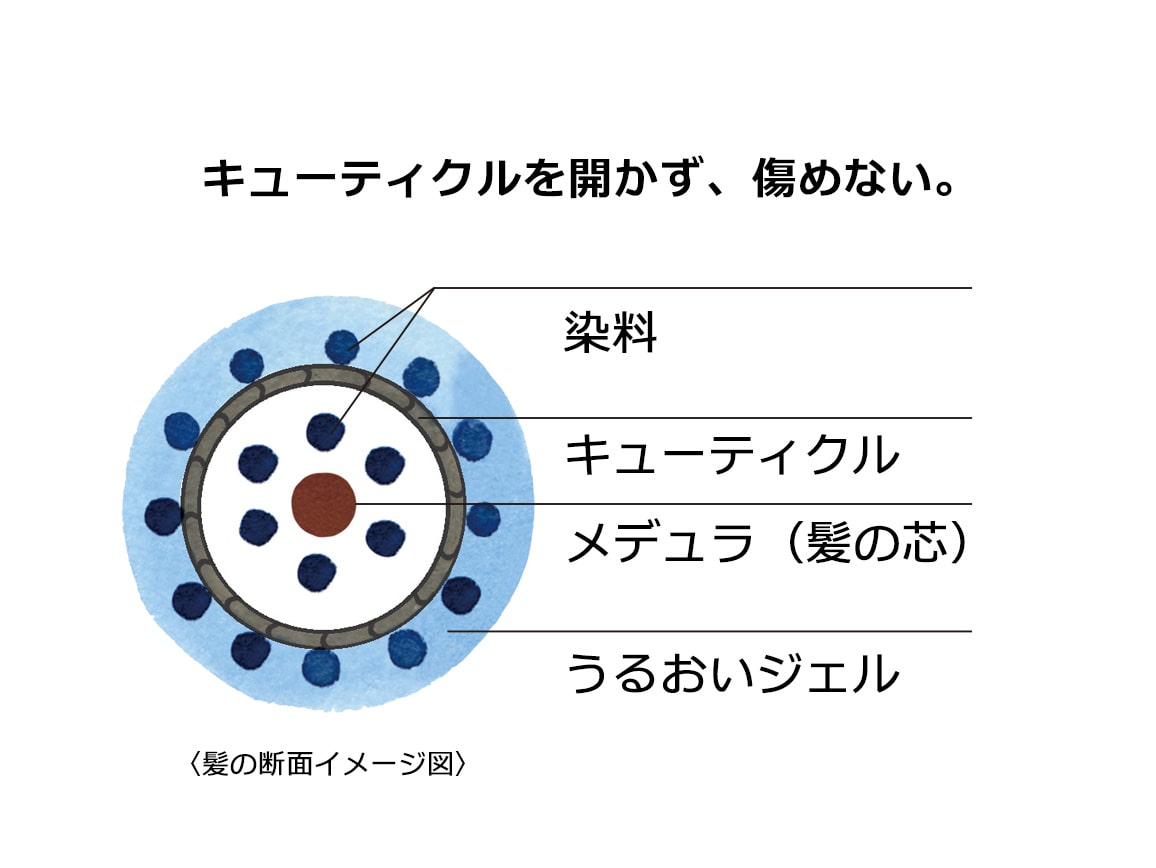 ハルメク つや髪 プラチナグレイカラー: ｜ カタログ通販のハルメク
