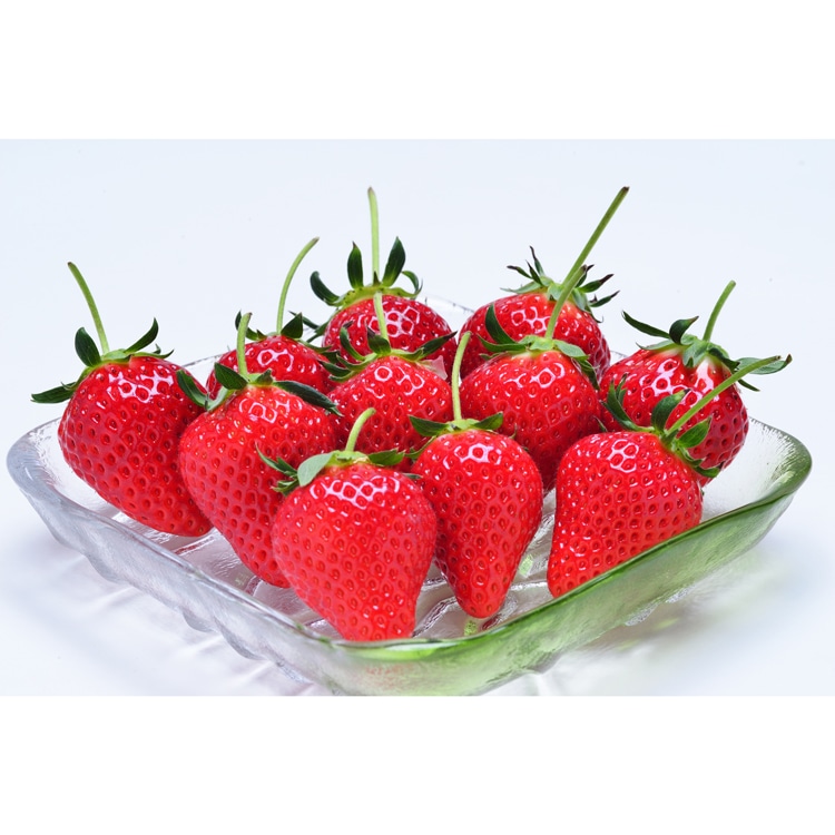 香川/KOKOROグループ]軸付き女峰いちご 1.0kg: JALショッピング｜JAL