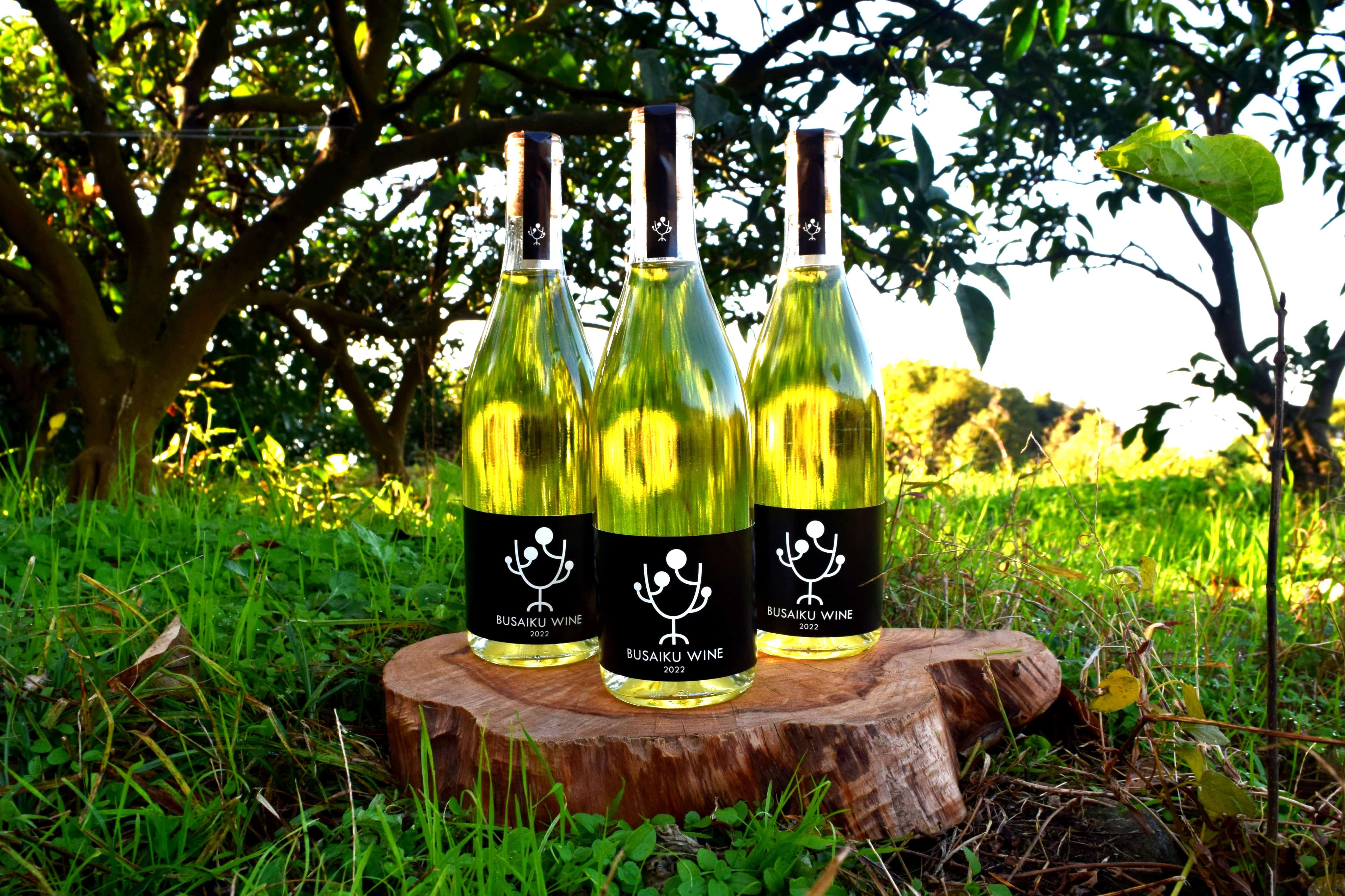 BUSAIKU WINE 〔720ml〕 みかん100％プレミアムみかんワイン「右田柑橘