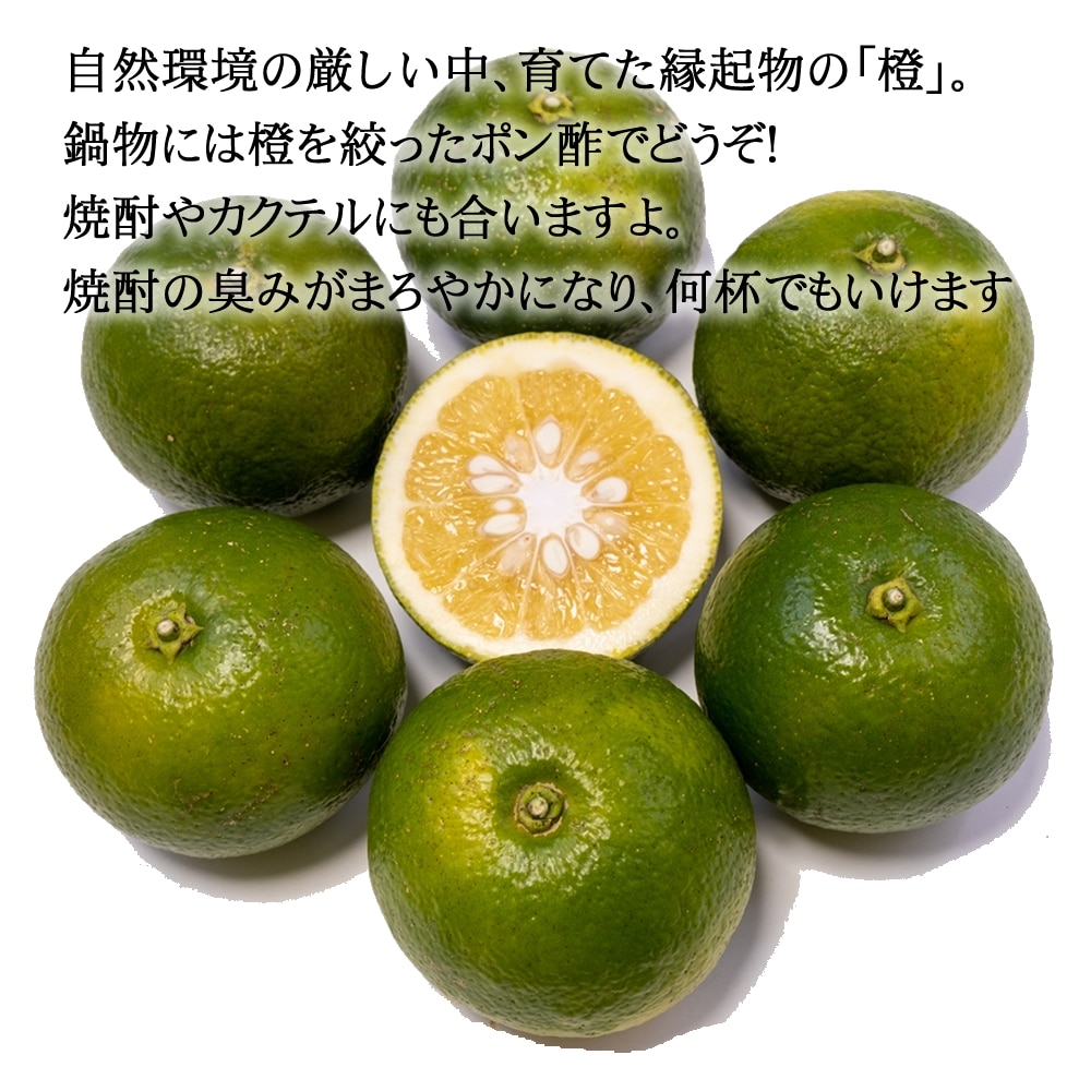 宮崎県産 橙(だいだい) 約2kg[株式会社グリーンフィールドアグリ