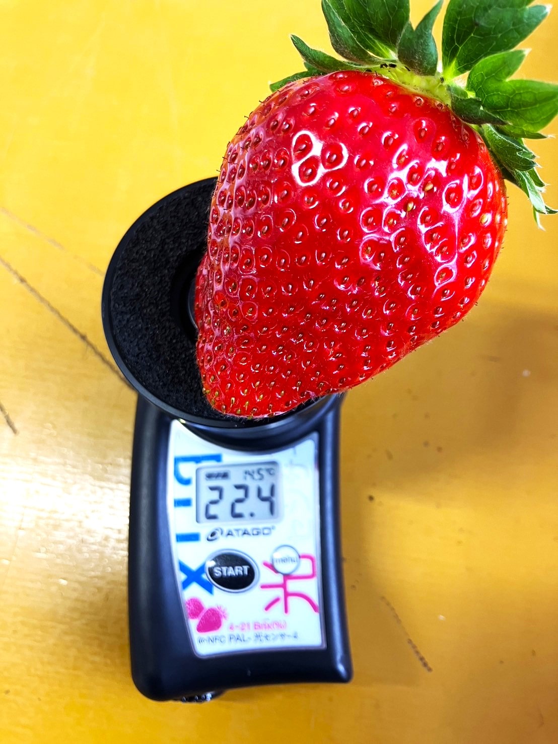 第2回全国いちご選手権銀賞受賞！】岡山県産プレミアム苺 〔美しの香