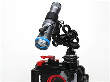 mic21ダイビングショップ[ フィッシュアイ ] WF Smart Focus 1200FR