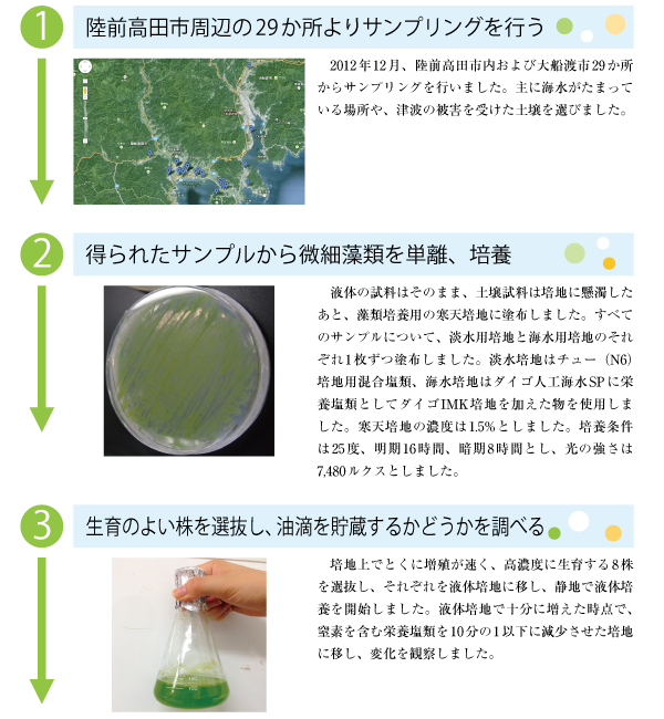 微細藻類培養キットを使って研究しよう！ | ティーチア : 教育応援