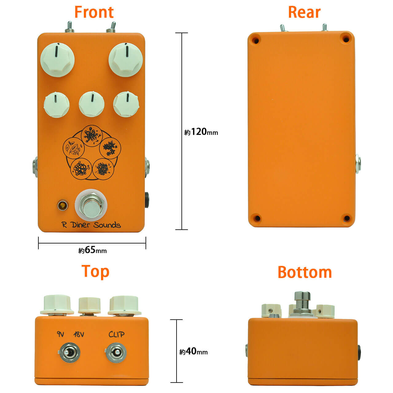 R Diner Sounds アール・ダイナー・サウンズ / SPICE CURRY【オーバー