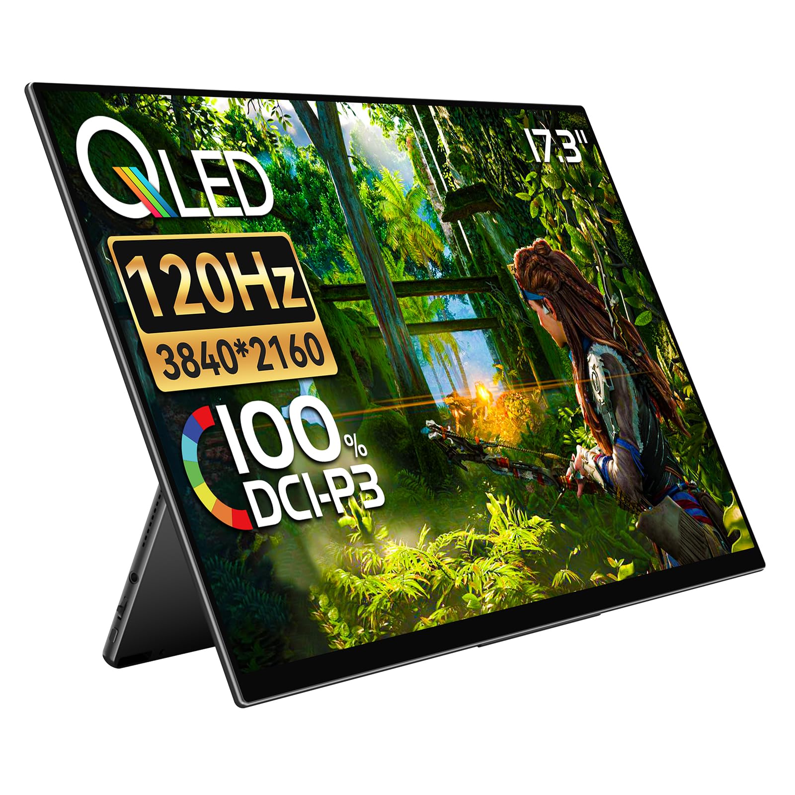 ハイエンドモデル】17.3インチ 3840*2160 120Hz RQG-173NU